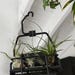 Mini Ski Lift Chair - Image 5